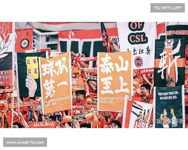 球迷冲突事件后续：涉事俱乐部被罚款